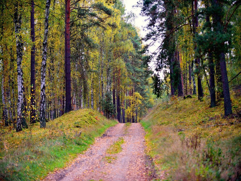 Nationalparkhotel Kranichrast Schwarzenhof Екстер'єр фото
